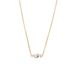 Lucardi Dames Stainless steel ketting met hanger met zirkonia voor dames - Ketting - Staal - Goudkleurig - 47 cm
