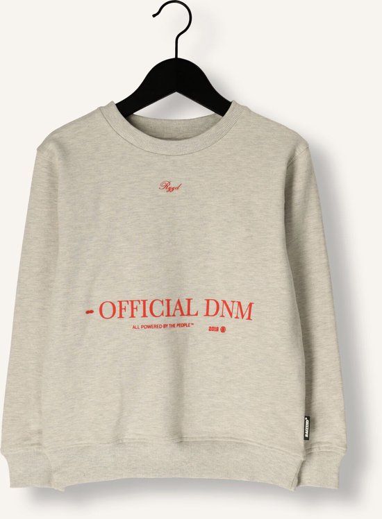 RAIZZED Noffical Truien & Vesten Jongens - Sweater - Hoodie - Vest - Lichtgrijs - Maat 152