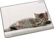 Läufer Schrijfonderlegger Katten grijs, 400 x 530 mm