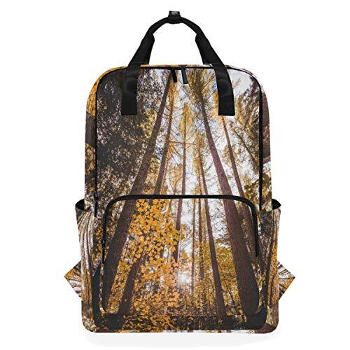 MONTOJ Travel Rugzak Fall Maple Leaf Forest School Rugzak