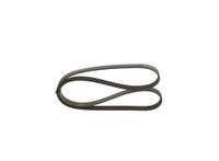 BOSCH Keilrippenriemen 1987947905