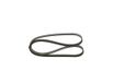 BOSCH Keilrippenriemen 1987947905