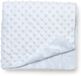 Babycadeauset: Interbaby Deken Bubble Junior 80 X 110 Cm Fleece blauw