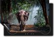 Chefcare Inductie Beschermer Olifant in het Bos - 77x59 cm - Multicolor