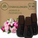 Air Wick Essential Mist - Verfrissende Pioen en Jasmijn + 3 Navullingen
