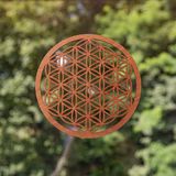 BERK Levensbloem hout donkerbruin 14 cm