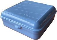 Rotho Fun Lunchbox Vierkant 2.35L Horizon Blauw