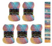 5 Wollbiene Harmony Batik 5 x 100 g