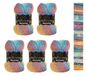 5 Wollbiene Harmony Batik 5 x 100 g