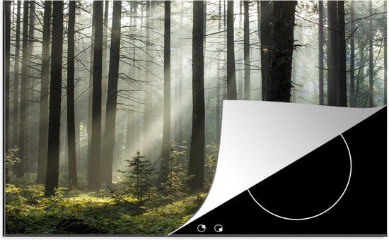 KitchenYeah® Inductie beschermer 77x51 cm - Polen - Boom - Bos - Inductiebeschermer voor Inductiekookplaat - Multicolor