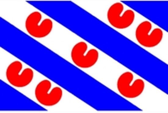 Benscore vlag Friesland, Friese vlag, Fryslan