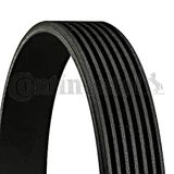 Contitch Contitech 7PK2315 V-riem