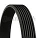 Contitch Contitech 7PK2315 V-riem