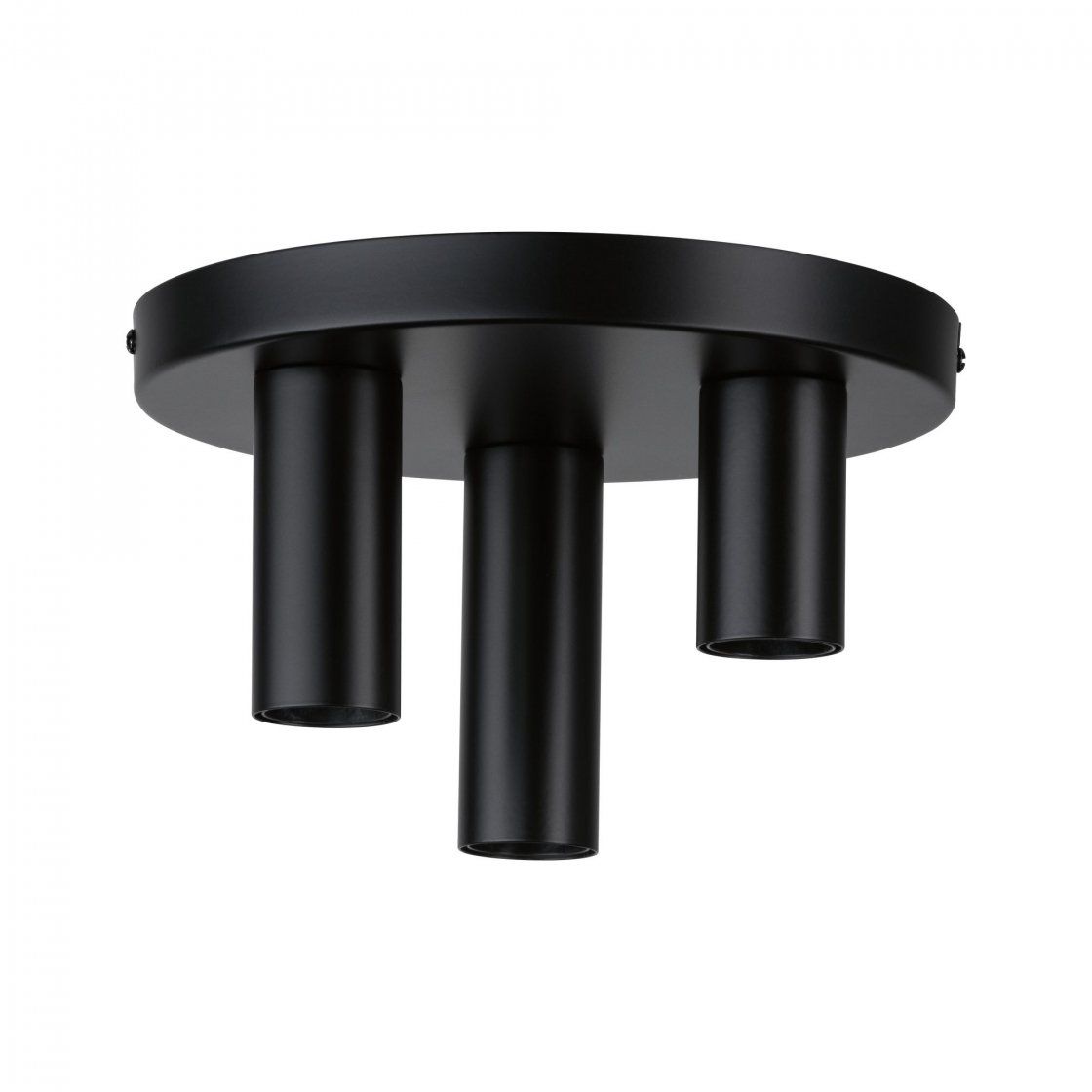 Paulmann Skogen Plafondlamp - Zwart - E27 - Metaal - Dimbare - Rond