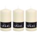 Spaas Cilinderkaars/stompkaars - ivoorwit - 3x - 6 x 10 cm - 25 branduren - horeca kaarsen