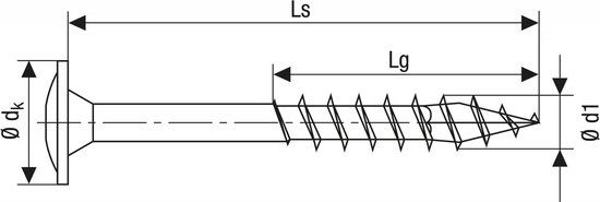 SPAX 251010601005 Hi-Force schroef, Discuskop, 6 x 100, Deeldraad, T-STAR plus T30 - WIROX - 100 stuks