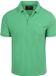 Superdry Polo Pique Classic Island Groen - Maat 3XL - Heren