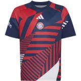 ADIDAS PERFORMANCE Shirt 'FC Bayern 26/27 Pre Match Jersey' bleu / rouge