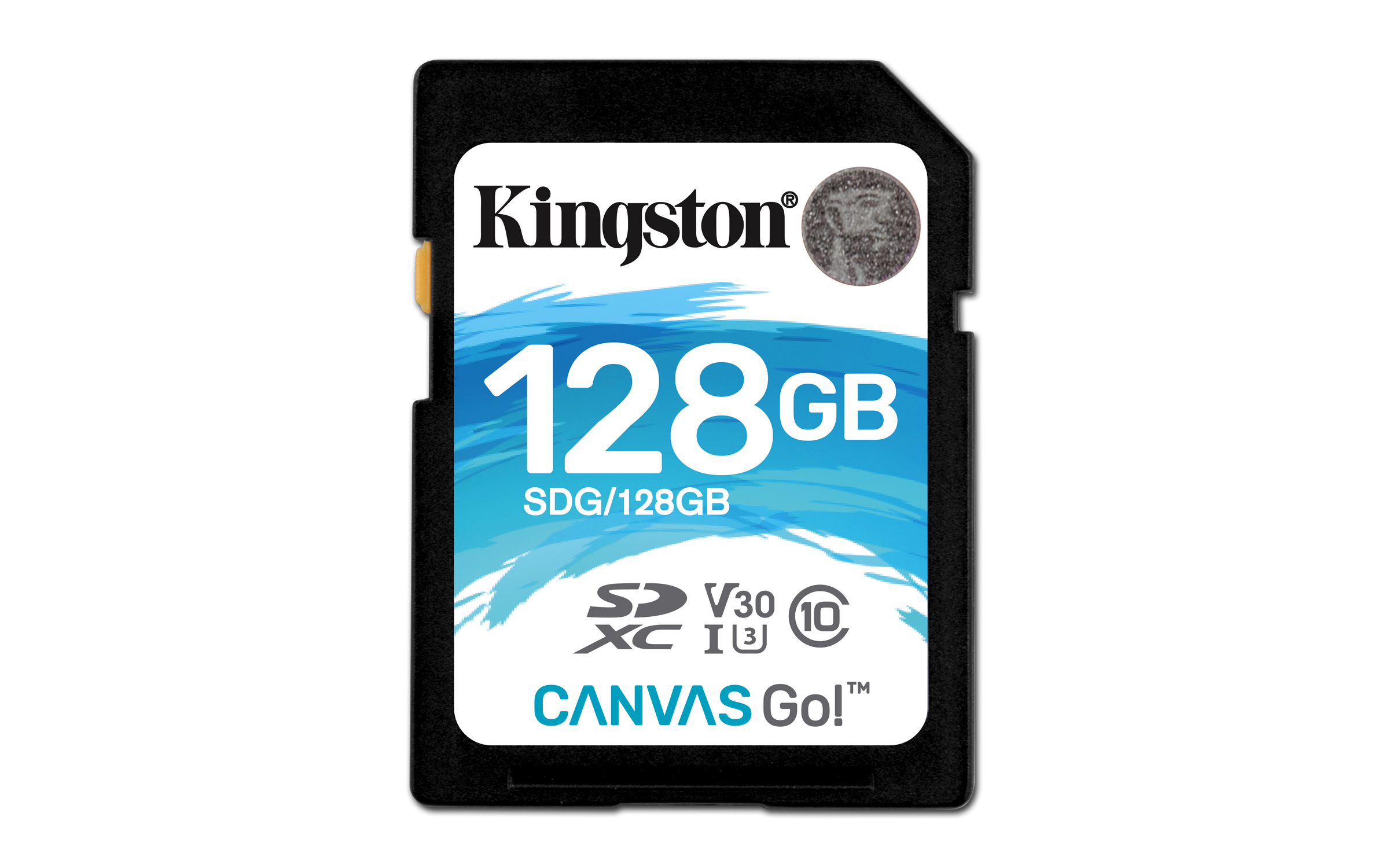 Kingston Canvas Go!