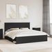 Maison Exclusive - Cadre de lit Noir 180 x 200 cm Bois de pin massif
