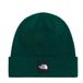 The North Face Dock Worker Rcycld Bne Groen