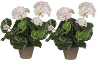 Mica Decorations Kunstplant - 2x - geranium - wit/roze - in pot - 34 cm