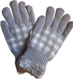 AWR Stijlvolle Gevoerde Dames Handschoenen | One Size - Grijs