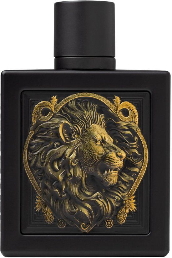 Rayhaan Eau de Parfum / 100 ml / Men