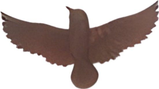 Buitengewoon de Boet Wanddeco ijzer vogel S 23x12x2 5 cm