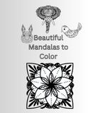 Beautiful Mandalas to Color: An Intricate Adult Coloring Book for Relaxation, Creativity, and Mindful Moments