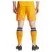 Adidas Short Loin Real Madrid 24/25