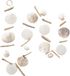 Boltze Home Capiz Slinger Speelgoed Decoratie Schelpen 180cm Multicolor