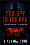 The Spy in the Bag: The Gareth Williams Mystery in Pimlico