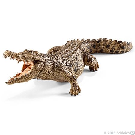 Schleich Wild Life 14736 Bruin Speelgoedfiguur