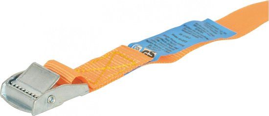 Carpoint Spanband met Klem 3m x 25mm - Oranje - 250 kg