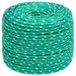 vidaXL Multifunctioneel touw 10 mm 500 m Groen PP