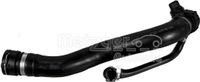 METZGER Tuyau de refroidissement, tuyau d'eau pour BMW X3 (E83), numéro d'article 2422050