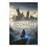 Grupo Erik Poster Harry Potter Hogwarts Legacy wanddecoratie 61 x 91,5 cm