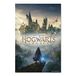 Grupo Erik Poster Harry Potter Hogwarts Legacy wanddecoratie 61 x 91,5 cm