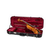Crossrock 4/4 vioolkoffer - ABS hardshell met binnencompartiment, afneembare banden-zwart (CRA860VFBK)