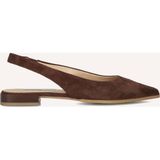 Stefano Lauran Hakken 72251 Bruin