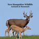 New Libri GmbH New Hampshire Animals and Mammals Kids Wildlife Book