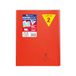 Clairefontaine 984604C Pak met 10 Geniete Schriften Koverbook Rood - 24x32 cm - 48 Pagina’s Kleine Ruitjes met Kantlijn - Wit Papier 90 g - Omslag Polypro