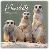 Meerkats Gifted Stationery Meerkats - Erdmännchen 2027 - 16-Monatskalender