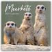 Meerkats Gifted Stationery Meerkats - Erdmännchen 2027 - 16-Monatskalender