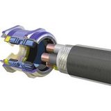 LAPP 53112501 Wartel Met trekontlasting M75 Messing Messing 1 stuk(s)