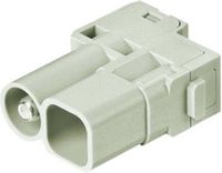 Harting Module à broches 1 pièce(s) 09 14 005 2646
