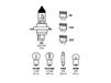 lampa Viaautoshop H4 Halogeen set 12V 60/55W