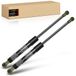 Frankberg 2 x gasveer demper motorkap compatibel met 5-serie E39 1995-2003 5-serie Touring E39 1996-2004 Vervanging # 51238174866