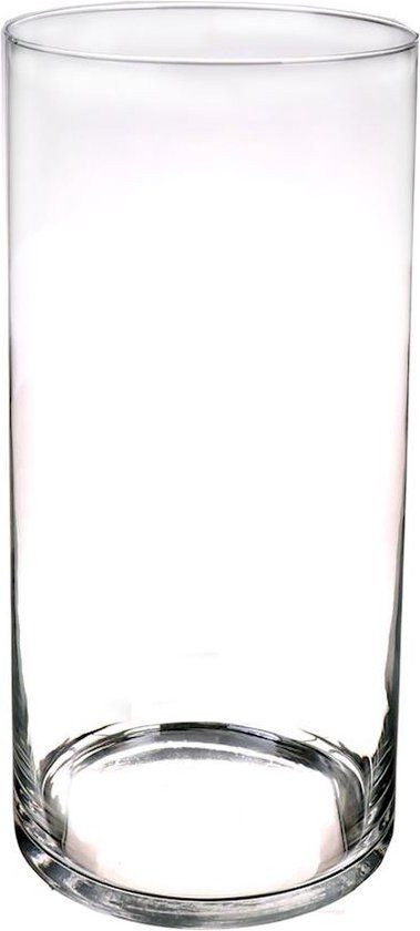 Bellatio Flowers & Plants Cilinder Vaas - H60 x D19 cm - Transparant - Glas
